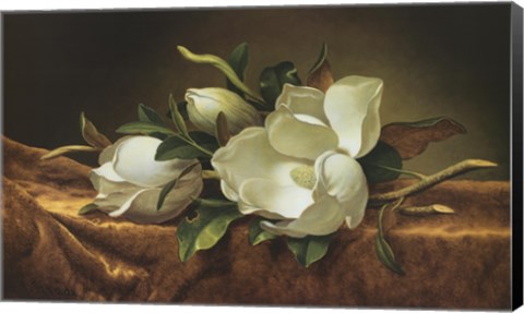 Framed Magnolias on Gold Velvet Cloth Print