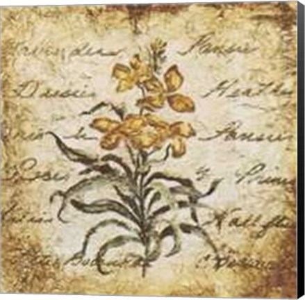 Framed Yellow Petit Botanical Print