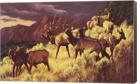 Framed Above the Fruited Plain Print