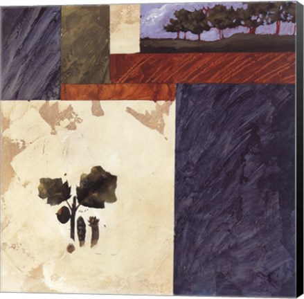 Framed Small Snapshot II Print