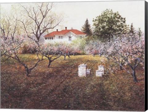 Framed Honey Bees Print