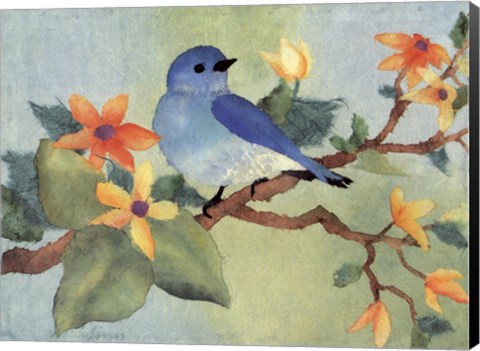 Framed Bluebird Print