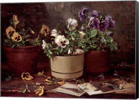 Framed Pansies in Terra Cotta Print