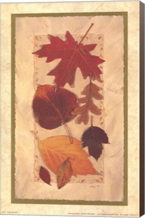 Framed Autumn Harvest II Print