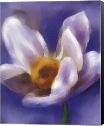 Framed Daffodil Study Print