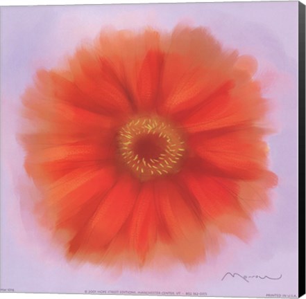 Framed Red Dahlia Print