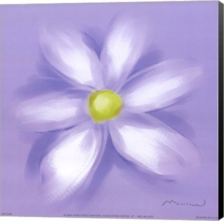 Framed Daisy Print