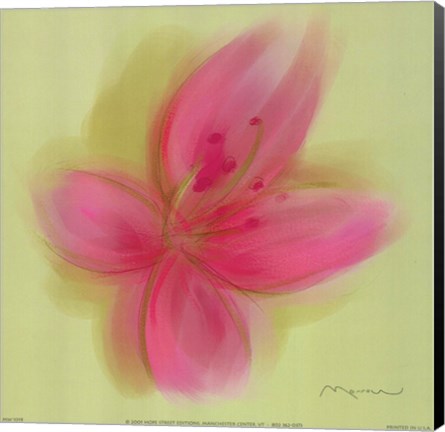 Framed Lily Print