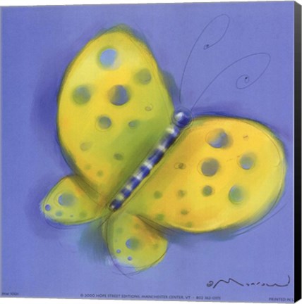 Framed Butterfly On Light Blue Print