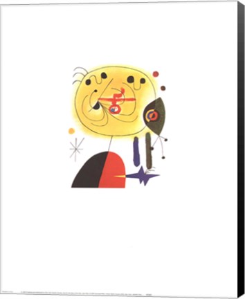 Framed and Fix the Hairs of the Star Print