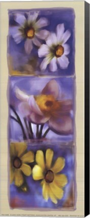 Framed Daisy Panel Print
