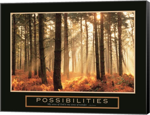 Framed Possibilities-Sunlight Print