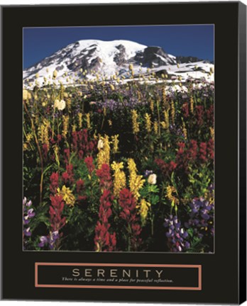 Framed Serenity - Mt. Rainier Print