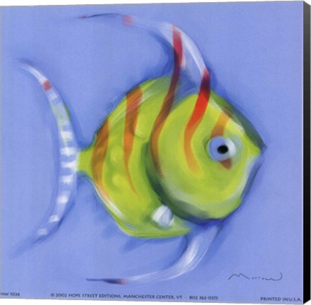 Framed Striped Angel Fish Print