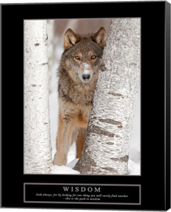 Framed Wisdom - Gray Wolf Print