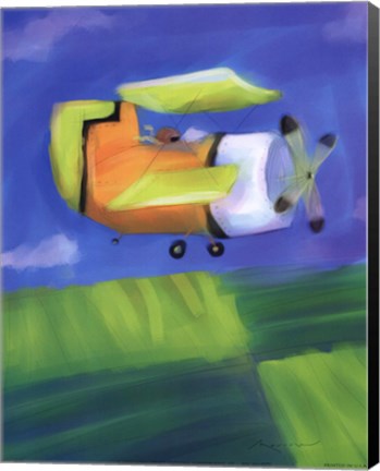 Framed Bi Plane Print