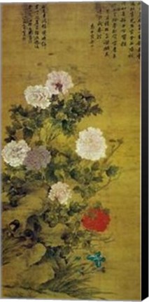 Framed Chinese Peonies (Ch&#39;ing Dynasty 17-18Th Print