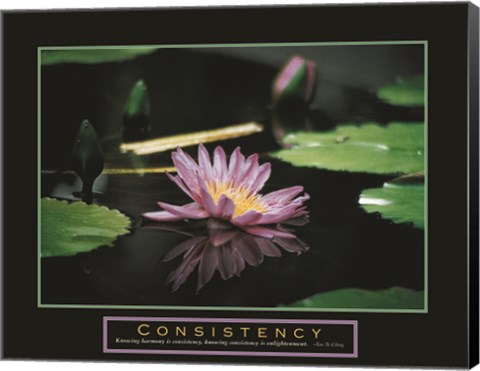 Framed Consistency - Pond Flower Print