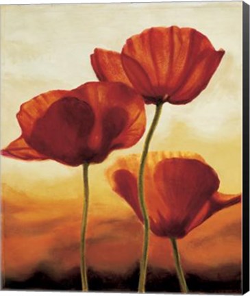 Framed Poppies In Sunlight I Print