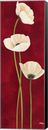 Framed Danza Di Papaveri Print