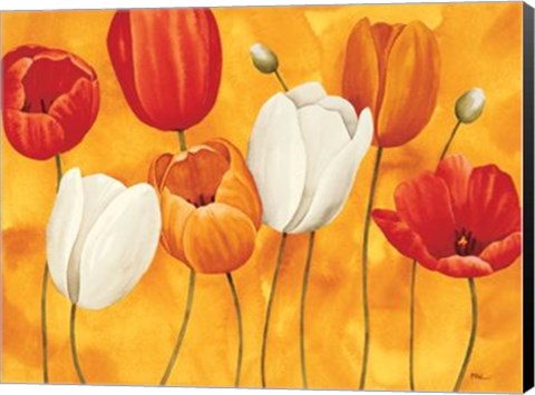 Framed Festa Di Tulipani Print