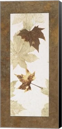 Framed Falling Leaves I Print