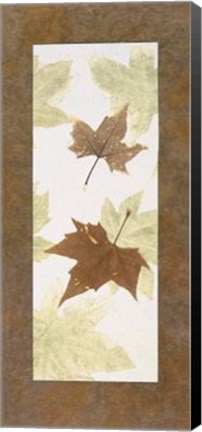 Framed Falling Leaves III Print