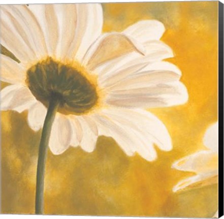 Framed Marguerites Dans Le Soleil I Print