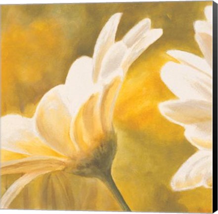 Framed Marguerites Dans Le Soleil II Print