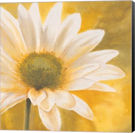 Framed Marguerites Dans Le Soleil III Print