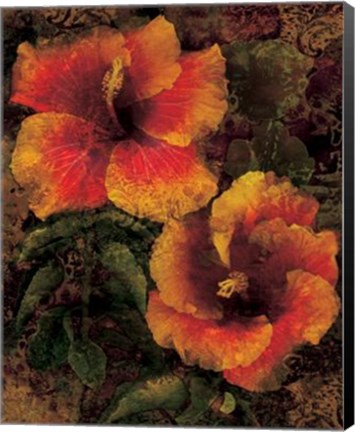 Framed Hibiscus I Print