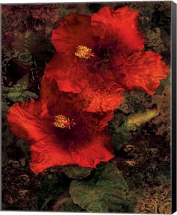 Framed Hibiscus II Print
