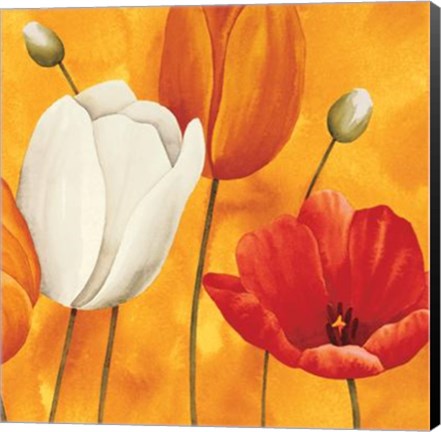 Framed Festa Di Tulipani Print
