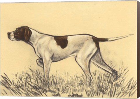 Framed Hunting Dogs-Pointer Print