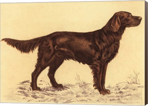 Framed Hunting Dogs-Setter Print