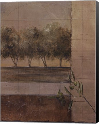 Framed Olive Groves II Print