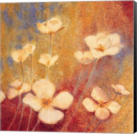 Framed Field Of Color II Print