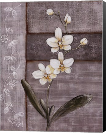 Framed Orchid Shimmer I Print