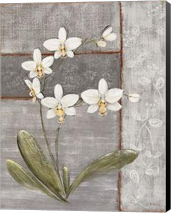 Framed Orchid Shimmer II Print