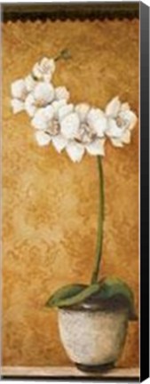 Framed Hanna's Orchids II Print