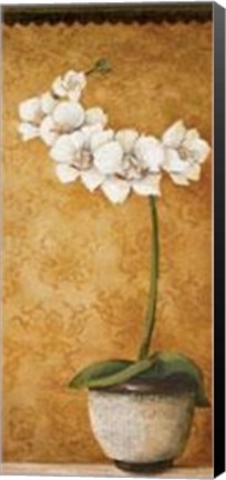 Framed Hanna's Orchids II - Mini Print
