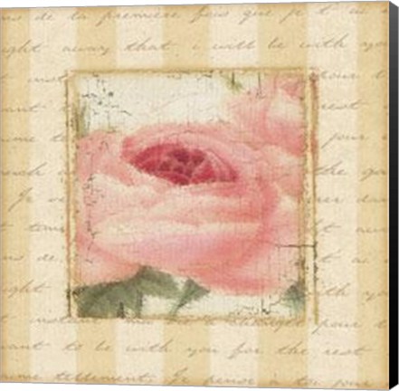 Framed Rose Romance I Print