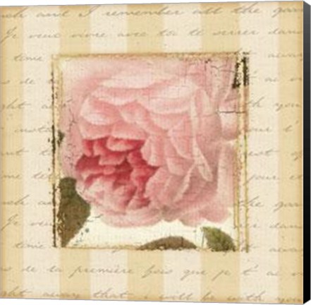 Framed Rose Romance II Print
