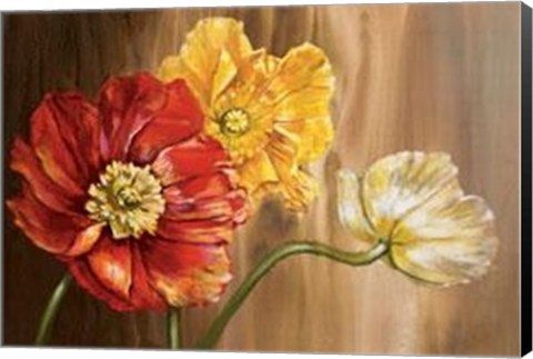 Framed Poppies Print