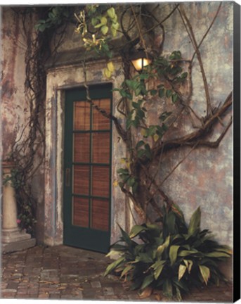 Framed Door No7 Print