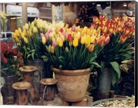 Framed Tulips, Paris Print