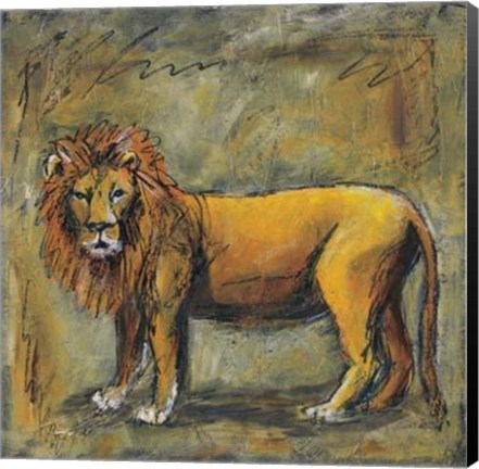 Framed Safari Lion Print