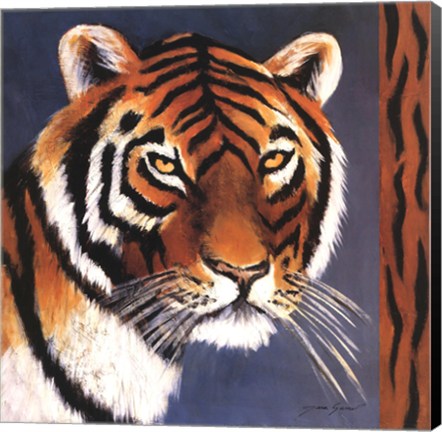 Framed Exotic Tiger - Mini Print