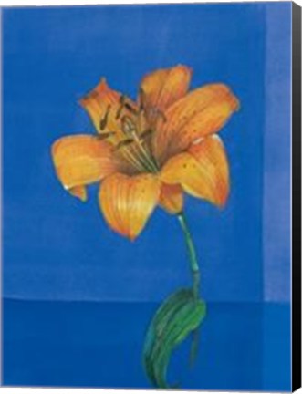 Framed Flower On Blue Print