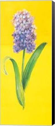 Framed Flower On Yellow Print